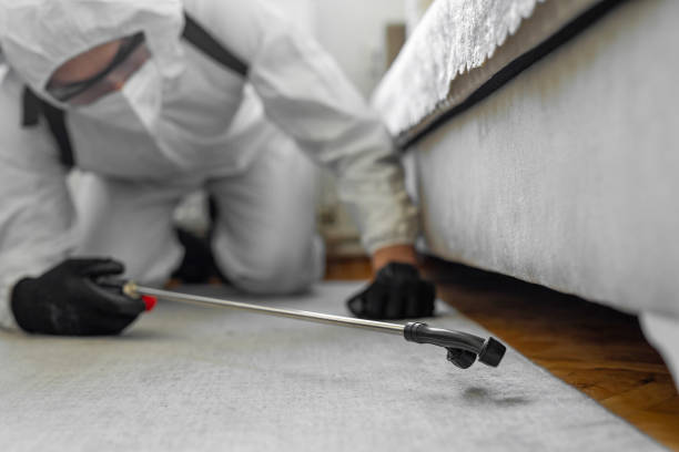 Professional Termite Control technician working in Lakeland, MN