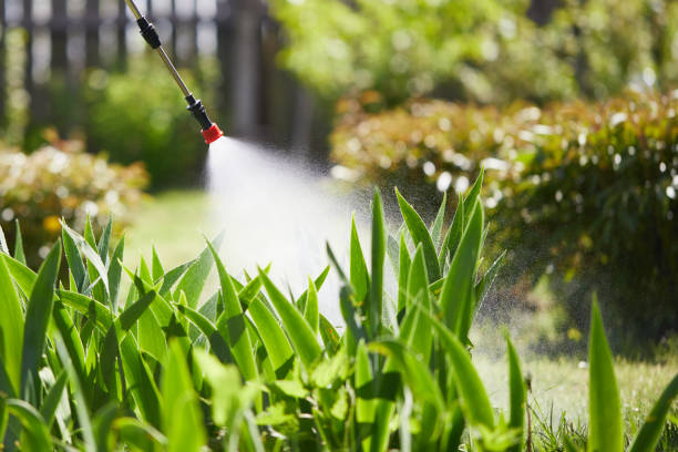 24/7 Emergency Termite Control experts in Lakeland, MN